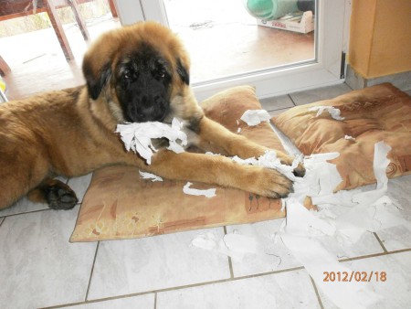 To se asi paničce líbit nebude